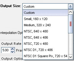 Output size option